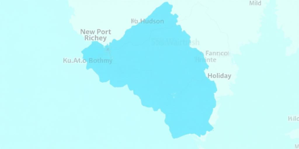 Map highlighting Port Richey and surrounding service areas like New Port Richey, Hudson, Trinity, and Holiday in Pasco County, Florida